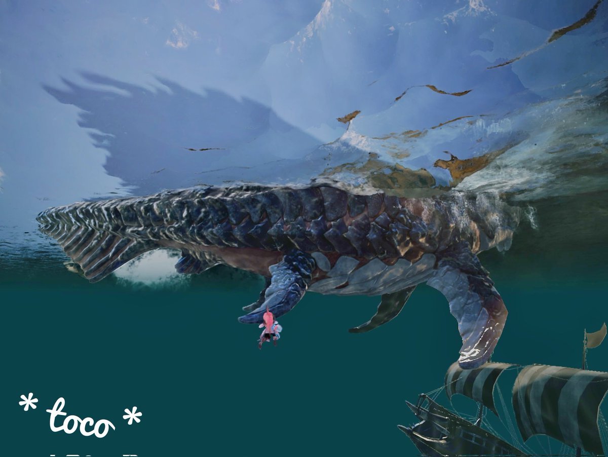 * toco * tweet media