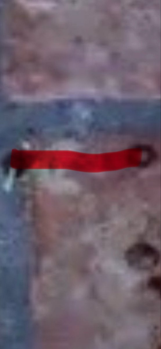 True Crime Belieber tweet media