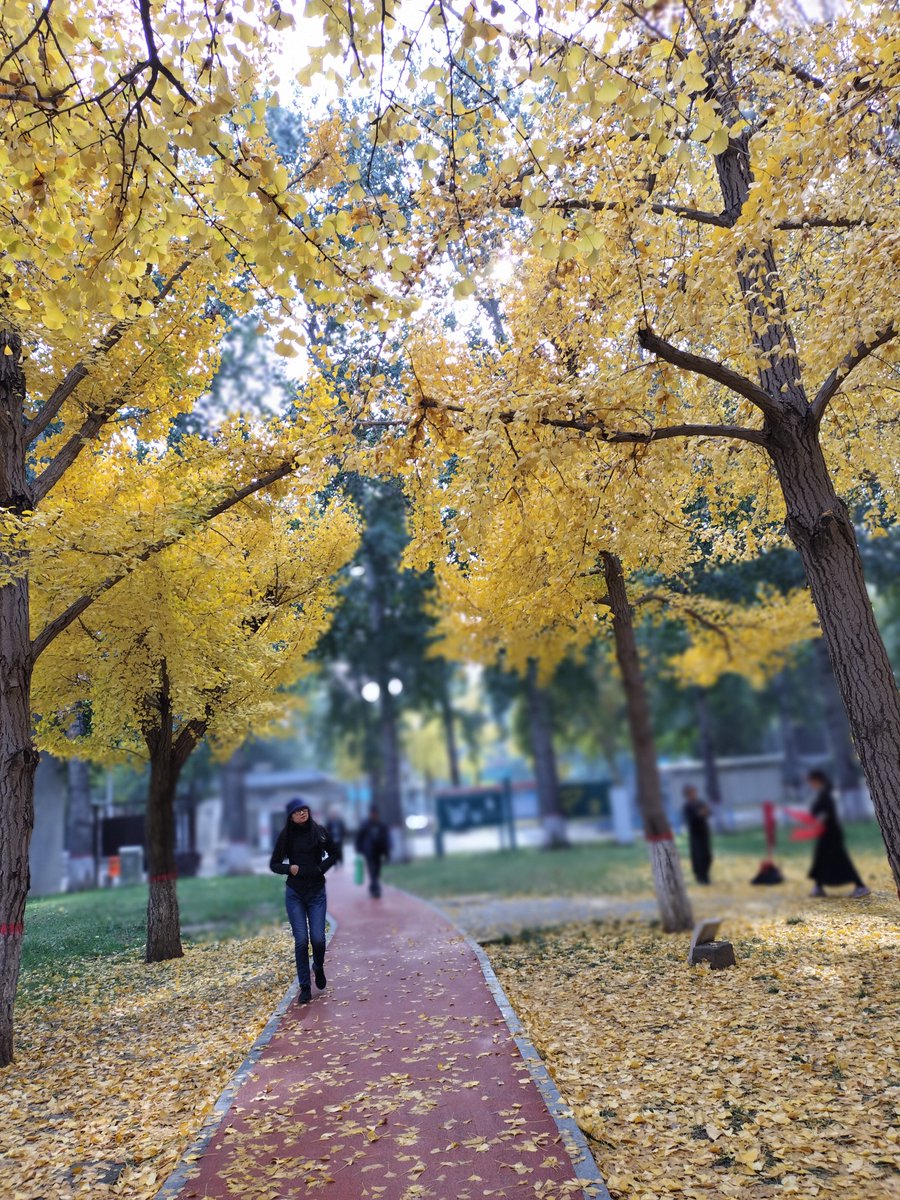 Dyme Taylor tweet media