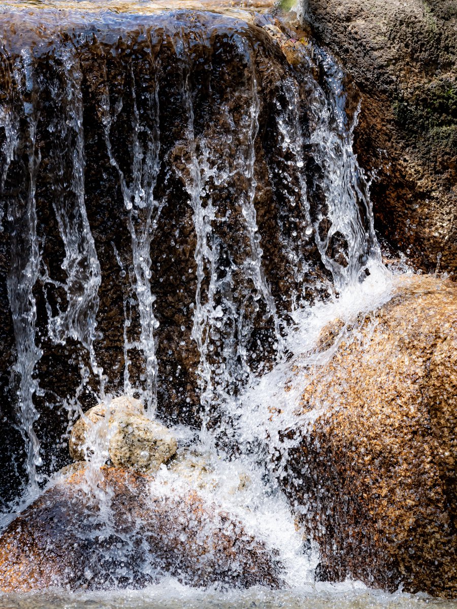 HPH (えいちぴーえいち) tweet media