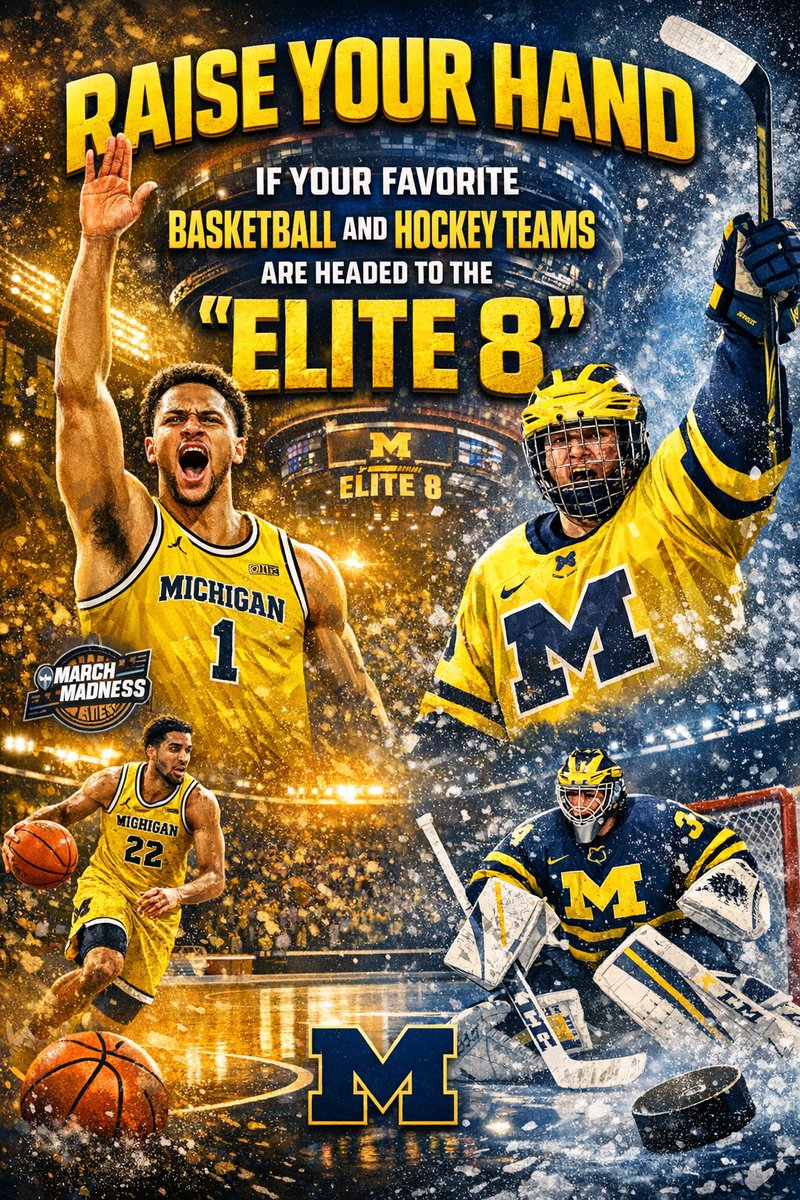 A〽️aizing History tweet media