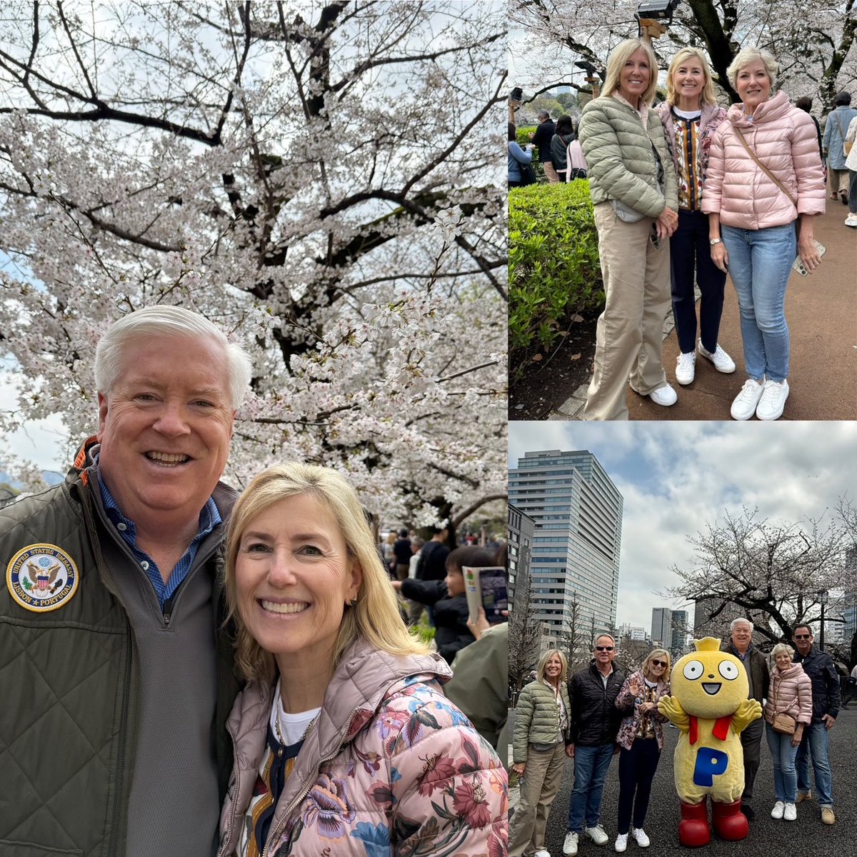 USAmbJapan's tweet photo. Cherry blossoms, Imperial Palace, and a garlic bulb with legs. Hard to beat that for iconic Japan! 🌸🏯🧄 https://t.co/l8BPu7W81m