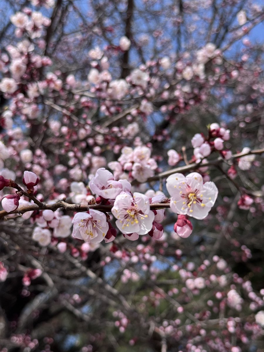 꽁애 tweet media
