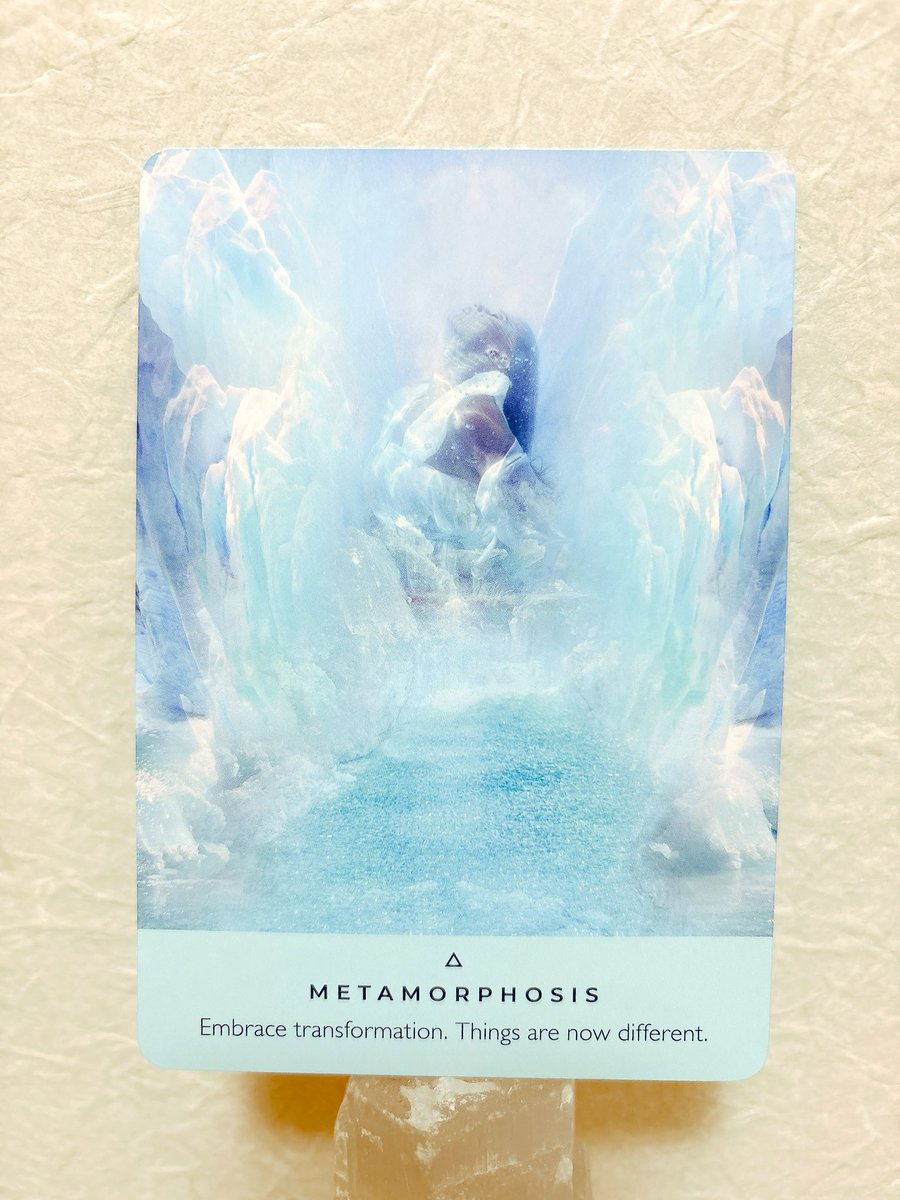 Therapist Emi tweet media