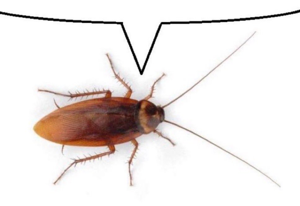 goobleck tweet media