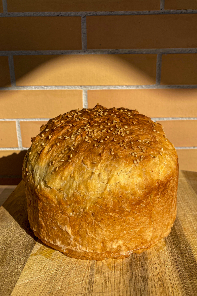 Michelle Radabaugh tweet media