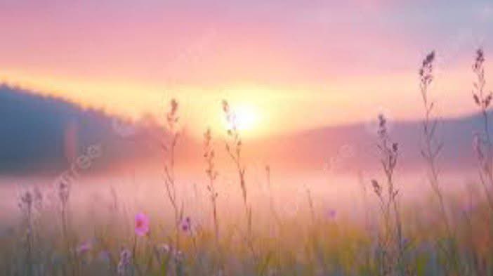 fadi daou tweet media