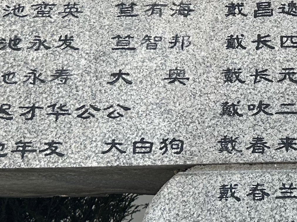 威尔逊·爱德华兹 Wilson Edwards （互不fo） tweet media