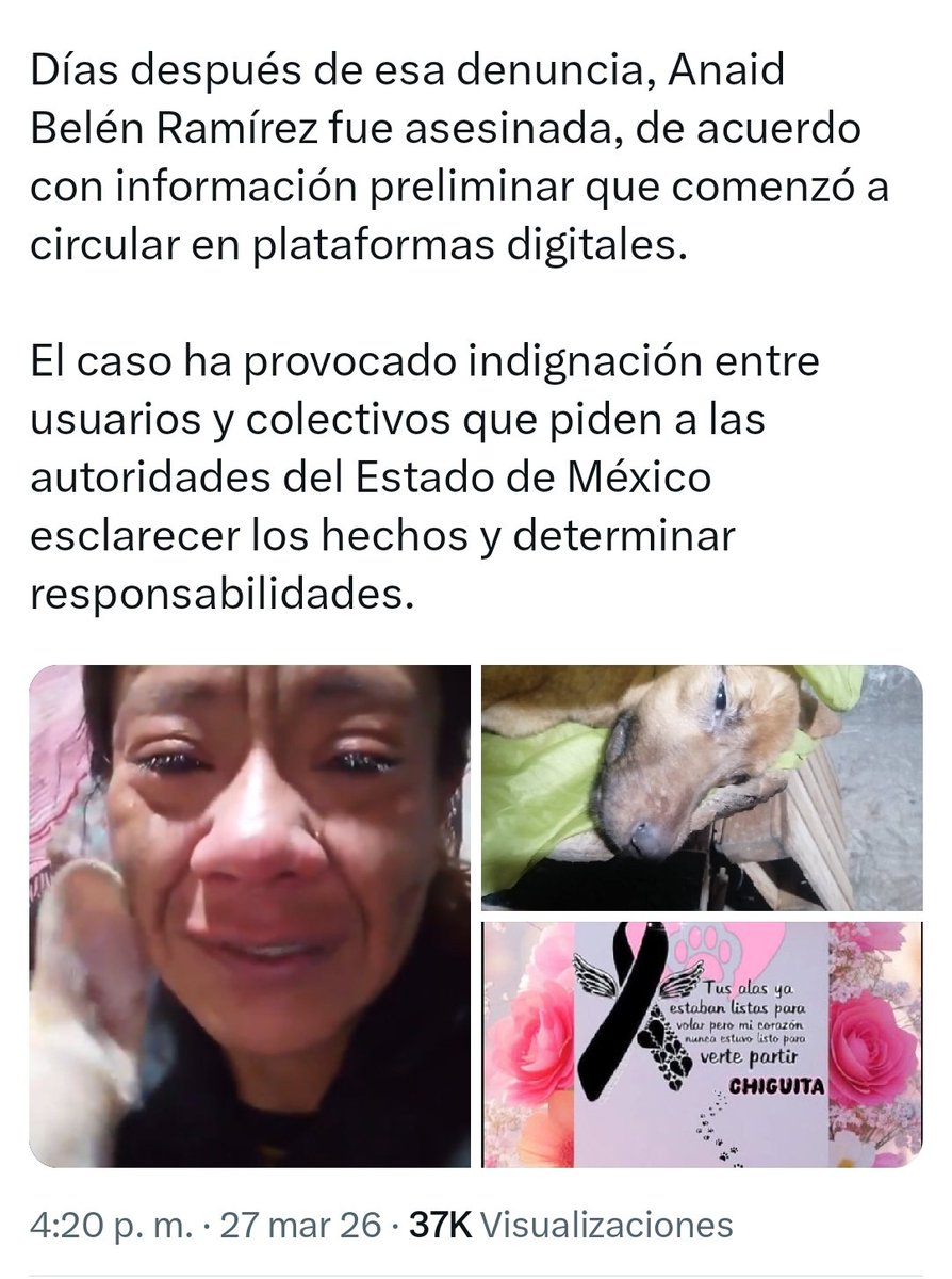 🌛 Turkaret 🌜 🇲🇽🇵🇸🇮🇷🇨🇺🇱🇧🇨🇳🇲🇽 tweet media