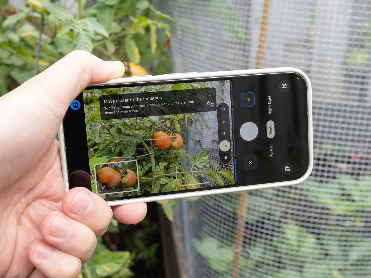 Denis_developer🐼 tweet media