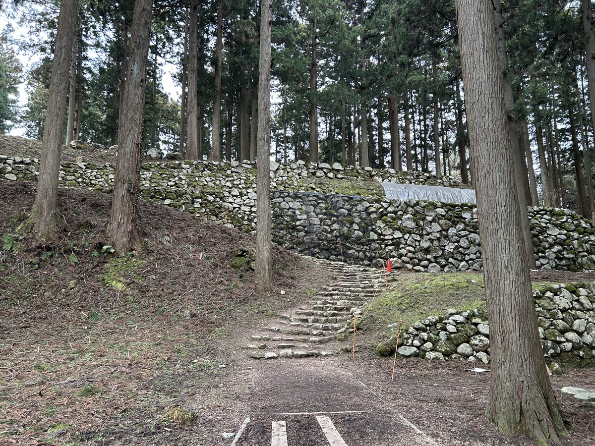 電卓の魔術師 tweet media