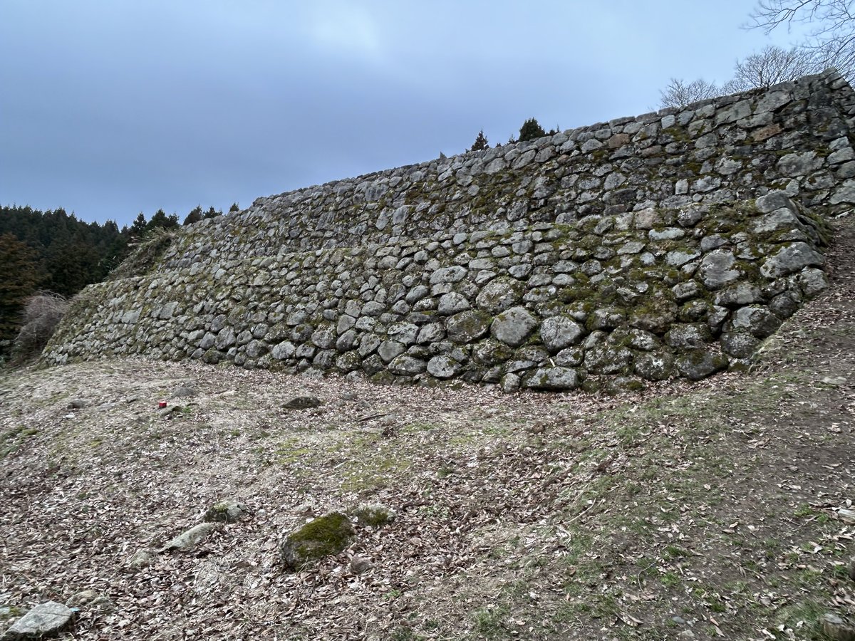 電卓の魔術師 tweet media