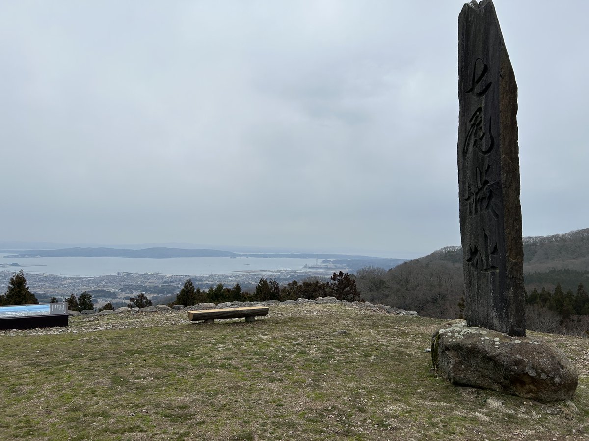 電卓の魔術師 tweet media