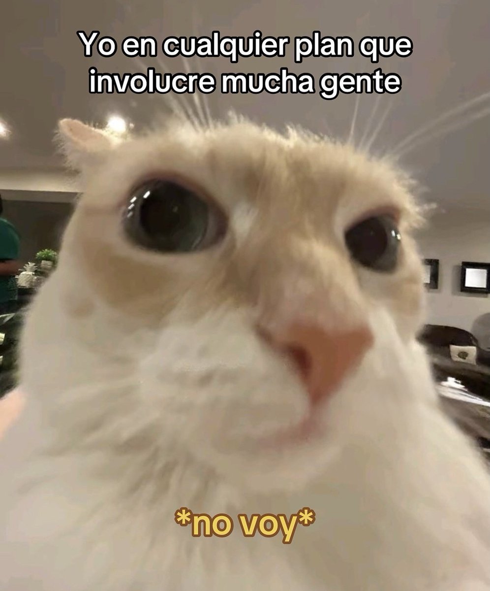 Mundo de Bigotes tweet media