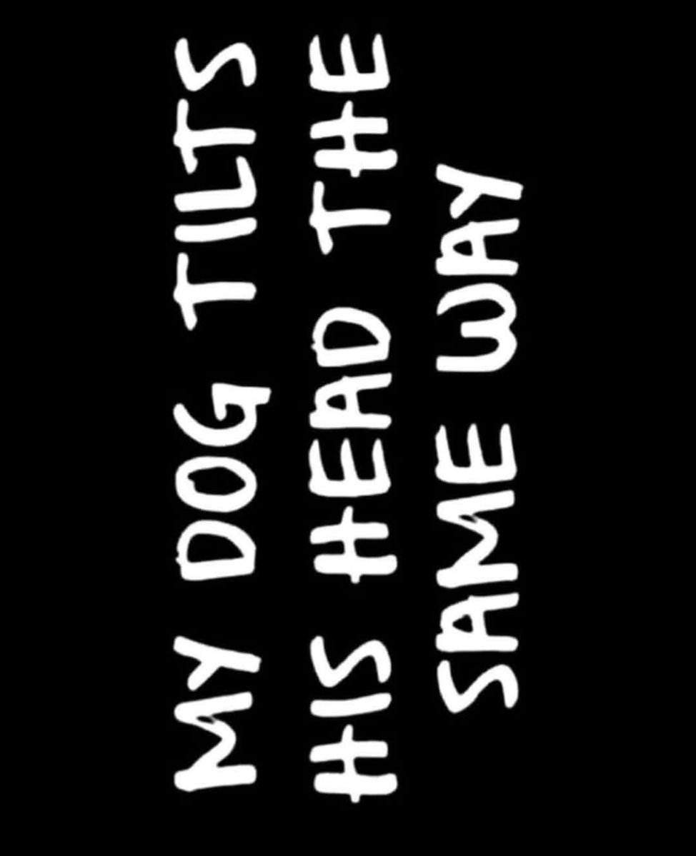 Two Tartans tweet media