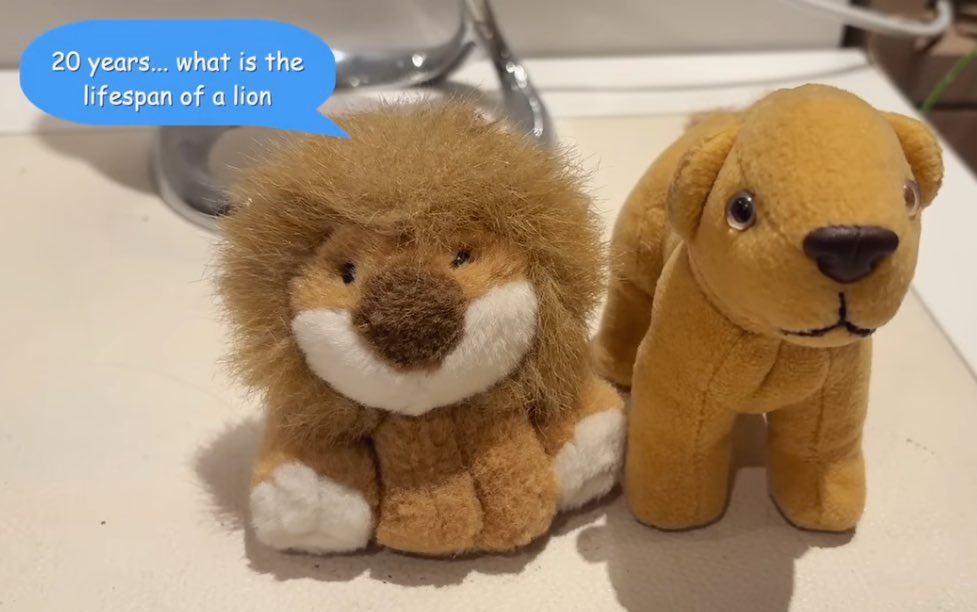 hannah 🖤 tweet media