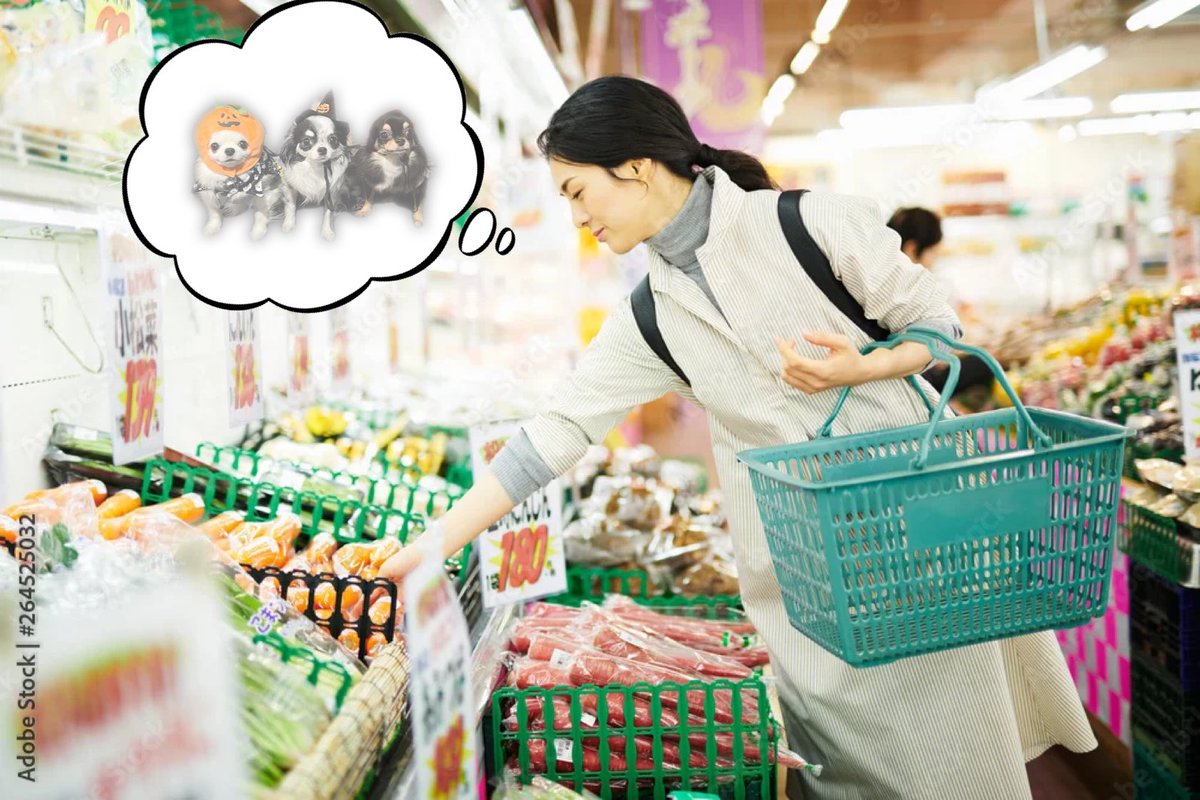 梅羽毬 tweet media