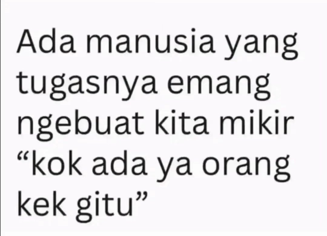 Mr. Fluffyball 🍉 tweet media