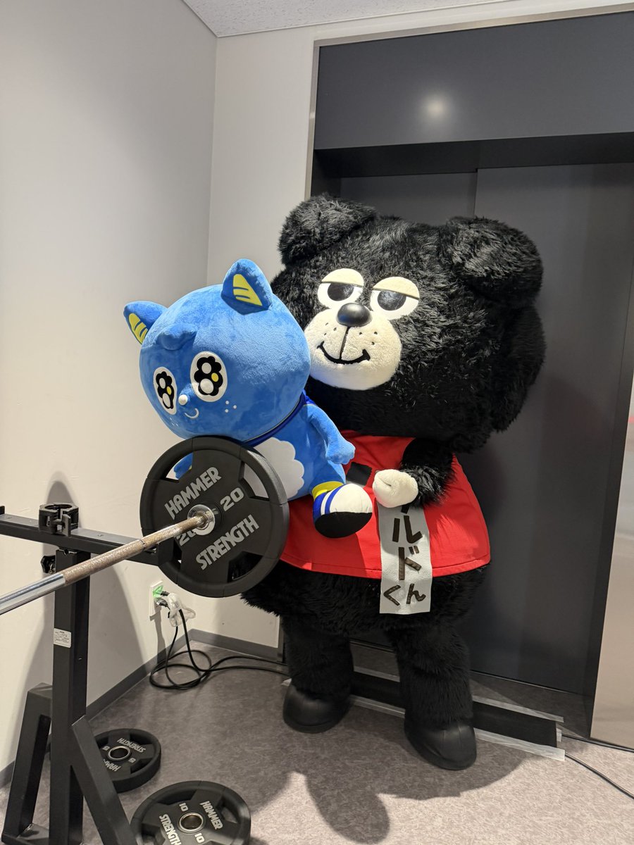 🐺 WD名古屋マスコット情報 🐶 ＼ウルドくん、こんにちは🌟／ 名前