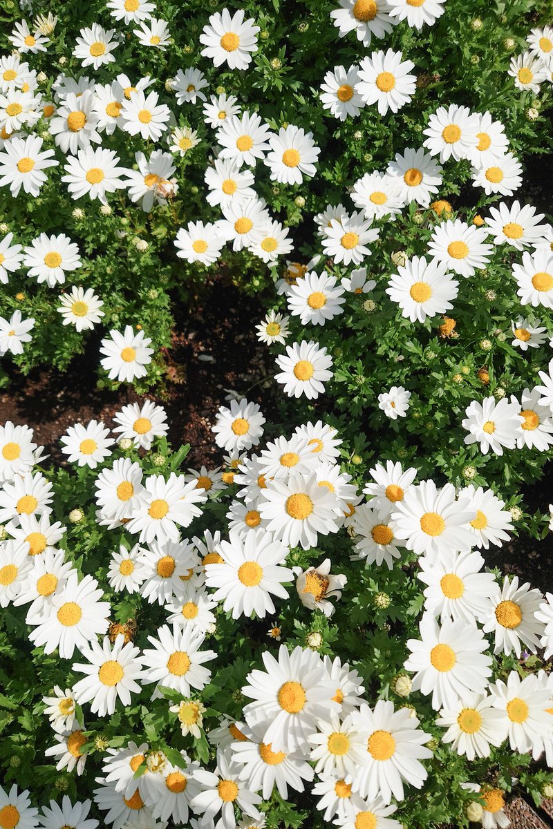 成瀬 瑛翔｜なるせ えいと tweet media