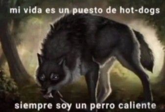 𝐄𝐥 𝕼𝐮͟𝐚͟𝐜͟𝐤͟𝐢͟𝐭͟𝐲 tweet media