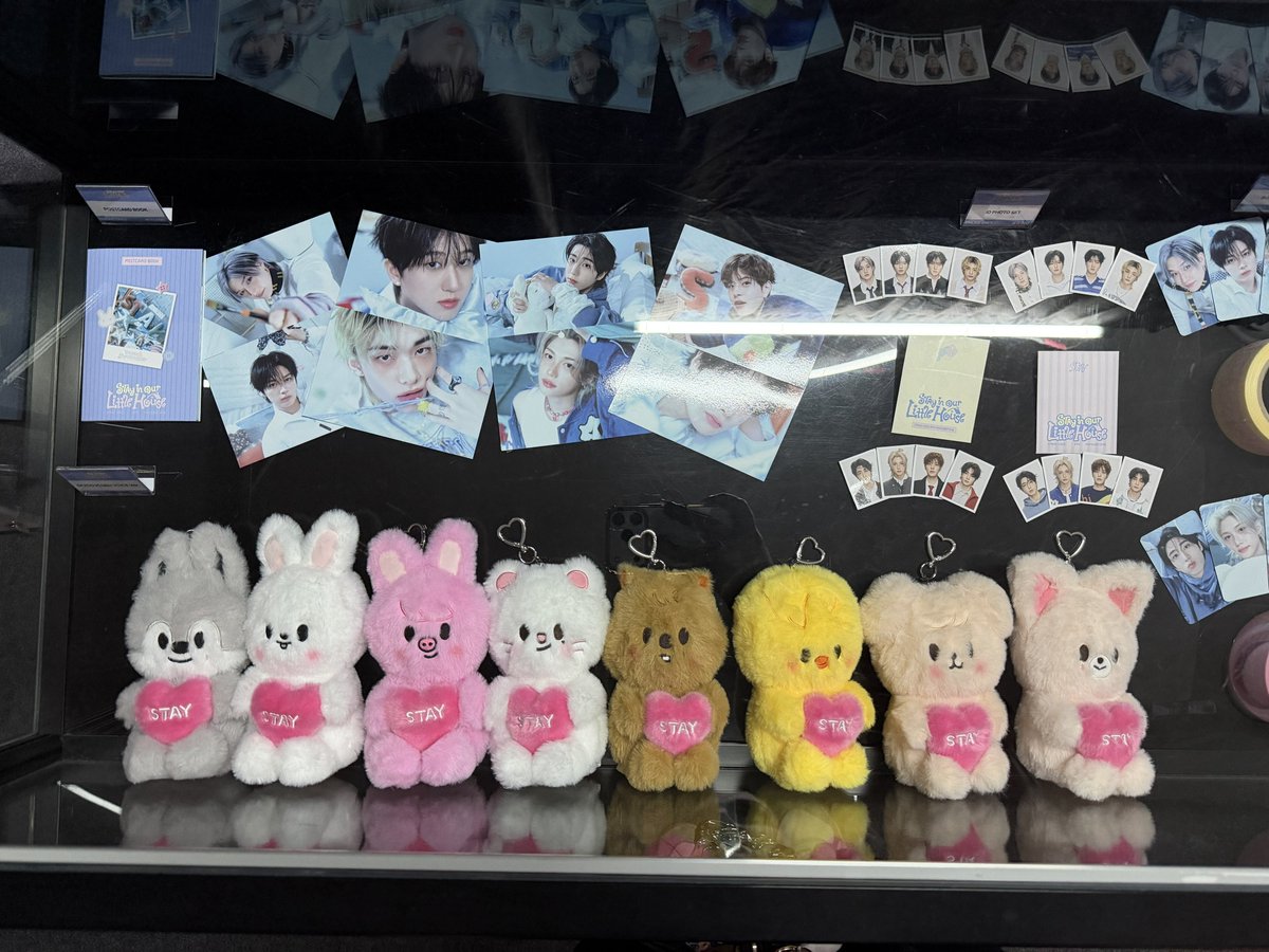 Stray Kids STAY in Our Little House MD ペンミのグッズ 現地写真出