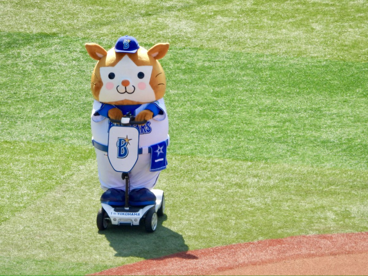 🟡🦭 tweet media