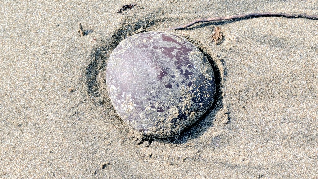 海とうに✹🫧 tweet media