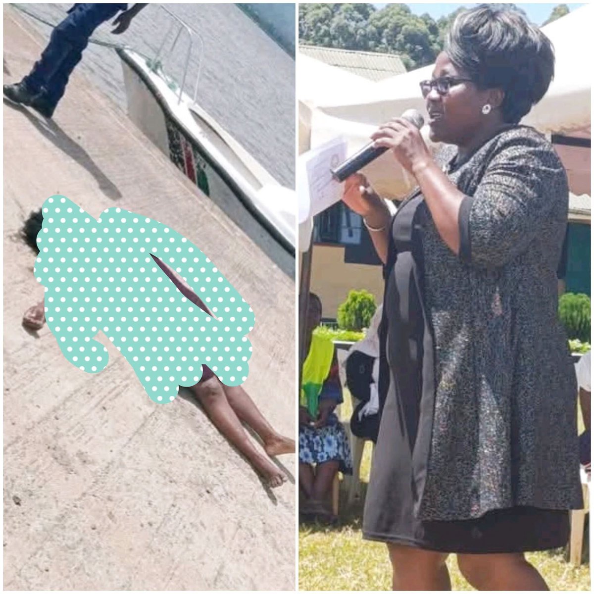 George T. Diano tweet media