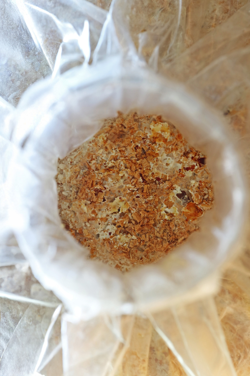 kirsty anne kennedy tweet media