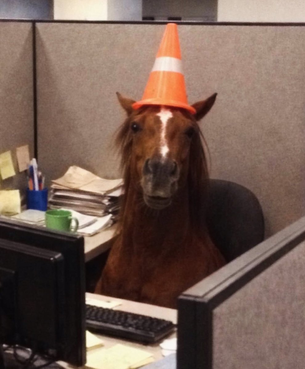 takımtaklavat tweet media