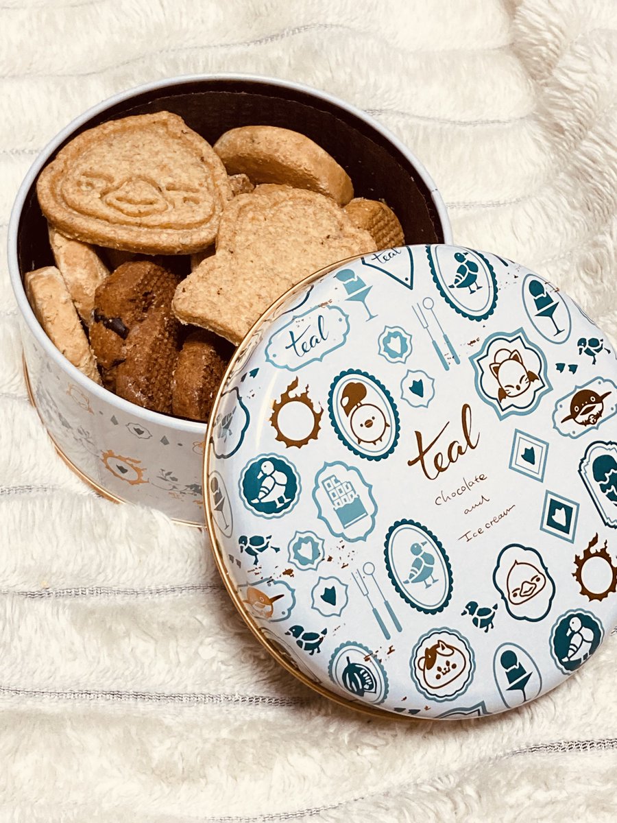 みーあ🐰 tweet media