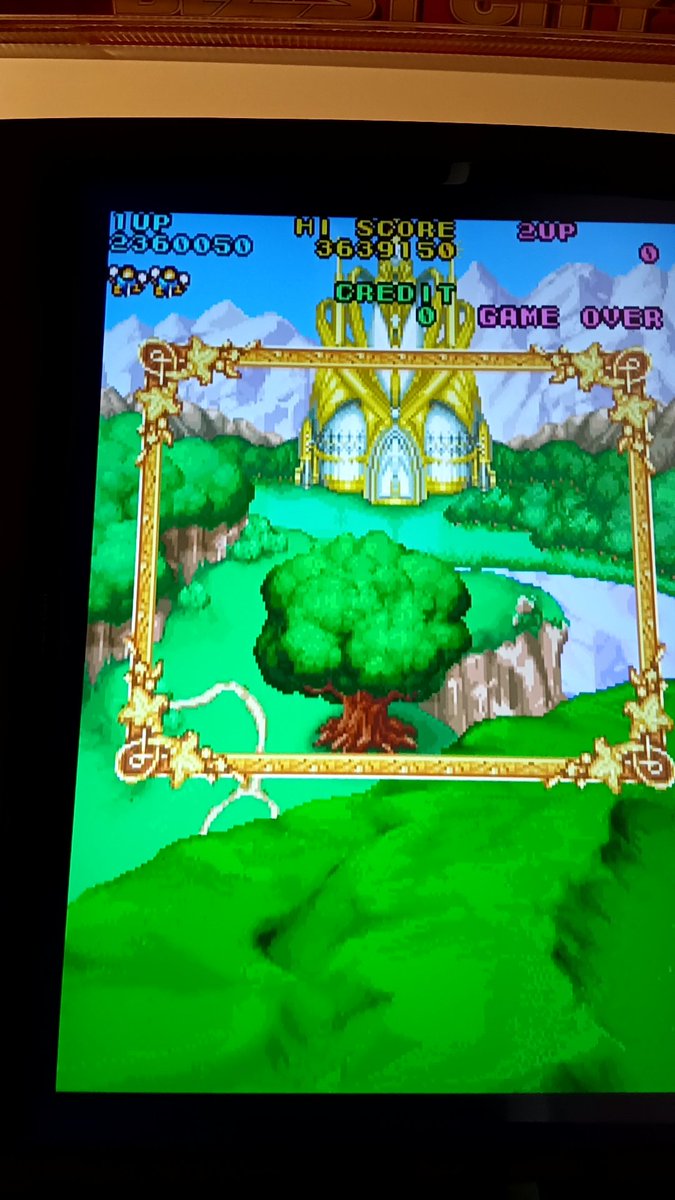 こいずみ tweet media