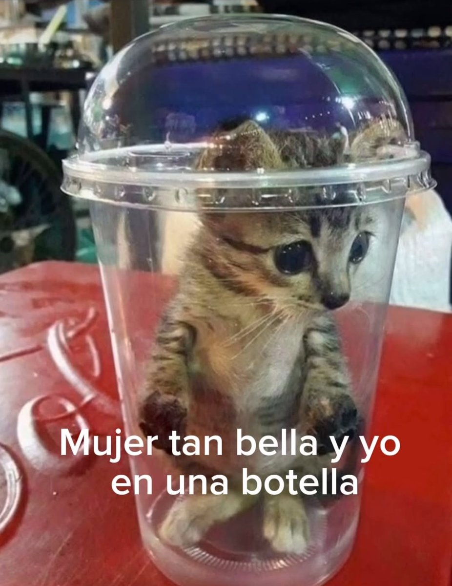 jugodenaranja9 tweet media