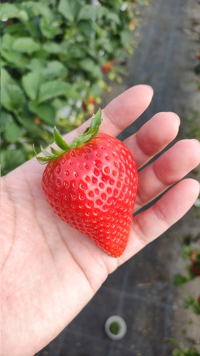 ルシファー tweet media