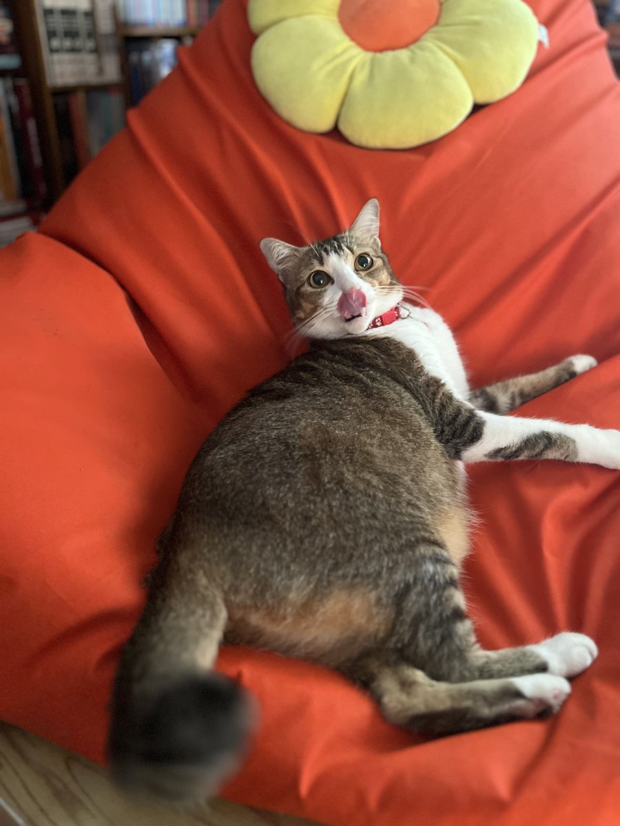 Ciyeng 🌻 tweet media