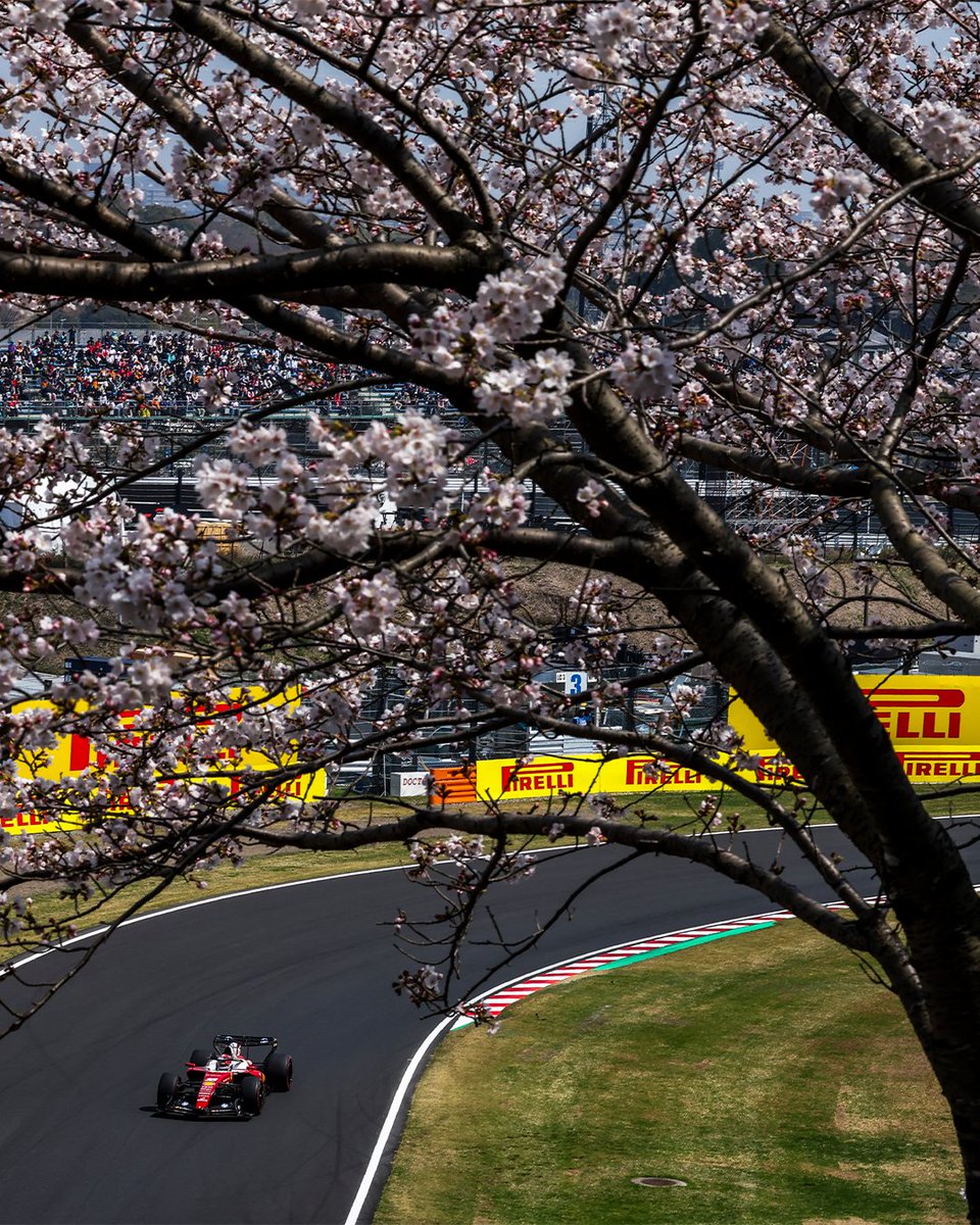 Scuderia Ferrari HP tweet media