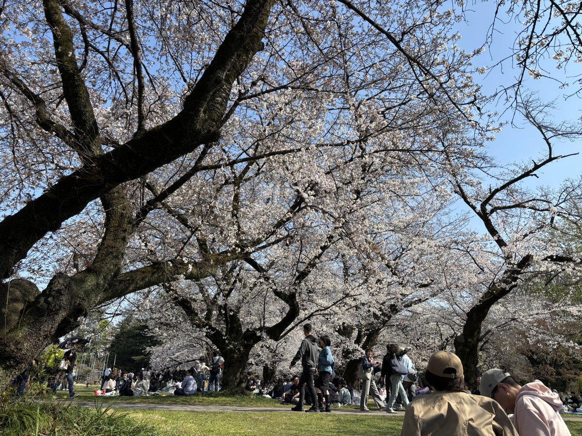 おぐにあやこ tweet media