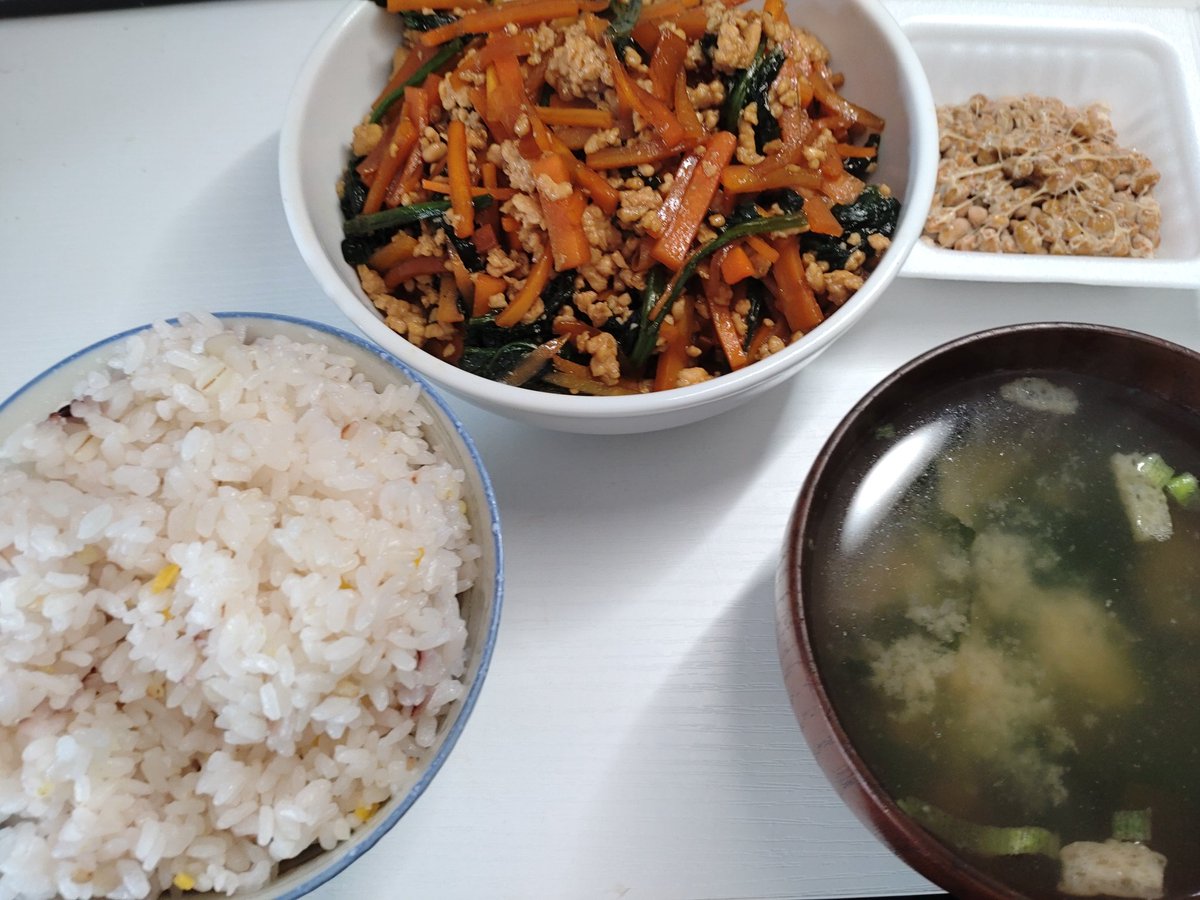 えっちゃん広場。ゲーム配信 tweet media