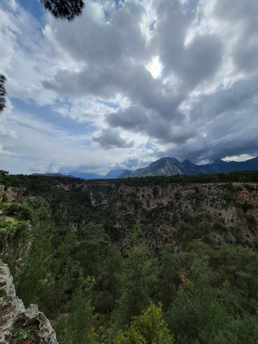 Mehmet Zahid tweet media