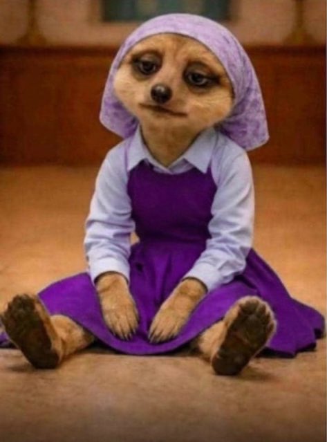 CILA 💜💜 tweet media