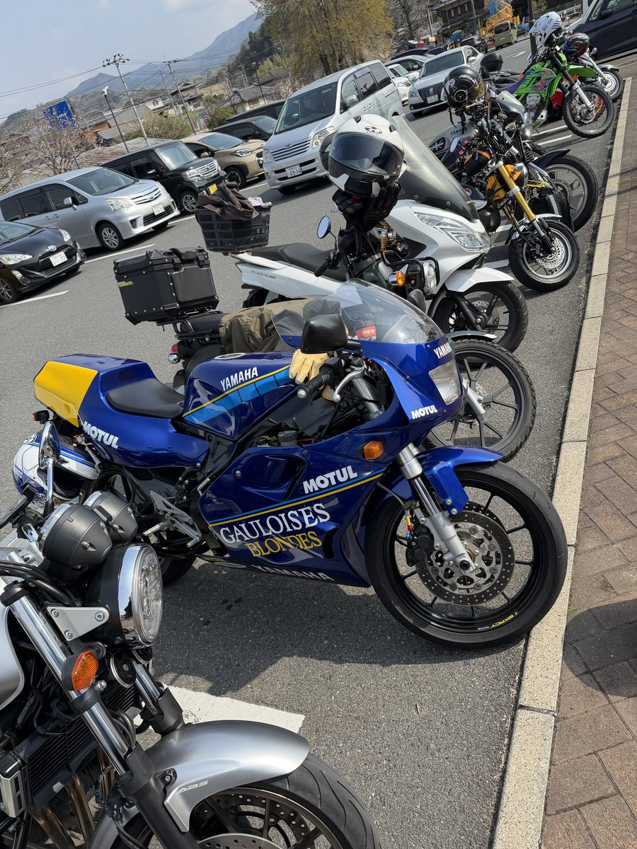 なつしよ tweet media