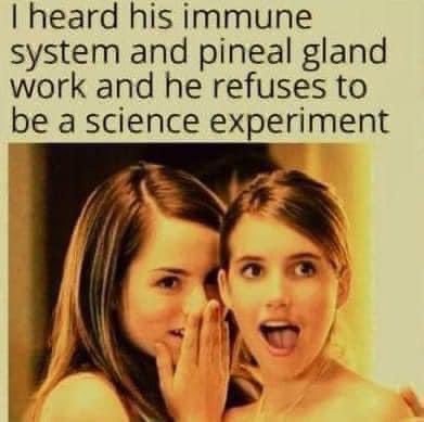 rabbitholebot tweet media