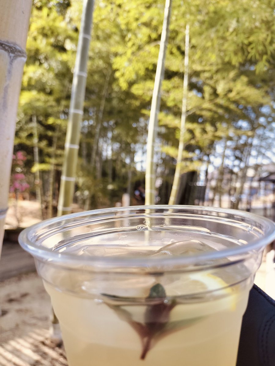 鷹猫@エスカルゴcc関東 tweet media