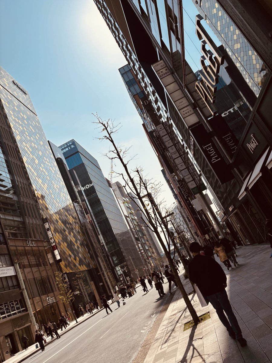 朝一から来て4件目💦

ノーチラスブレスタイプ　　　不動
アクアノートローズゴールド　お洒落れ
どちらも未使用品で価格差300ほど。

プレ値はしょうがないにしても
めちゃくちゃ迷ってる