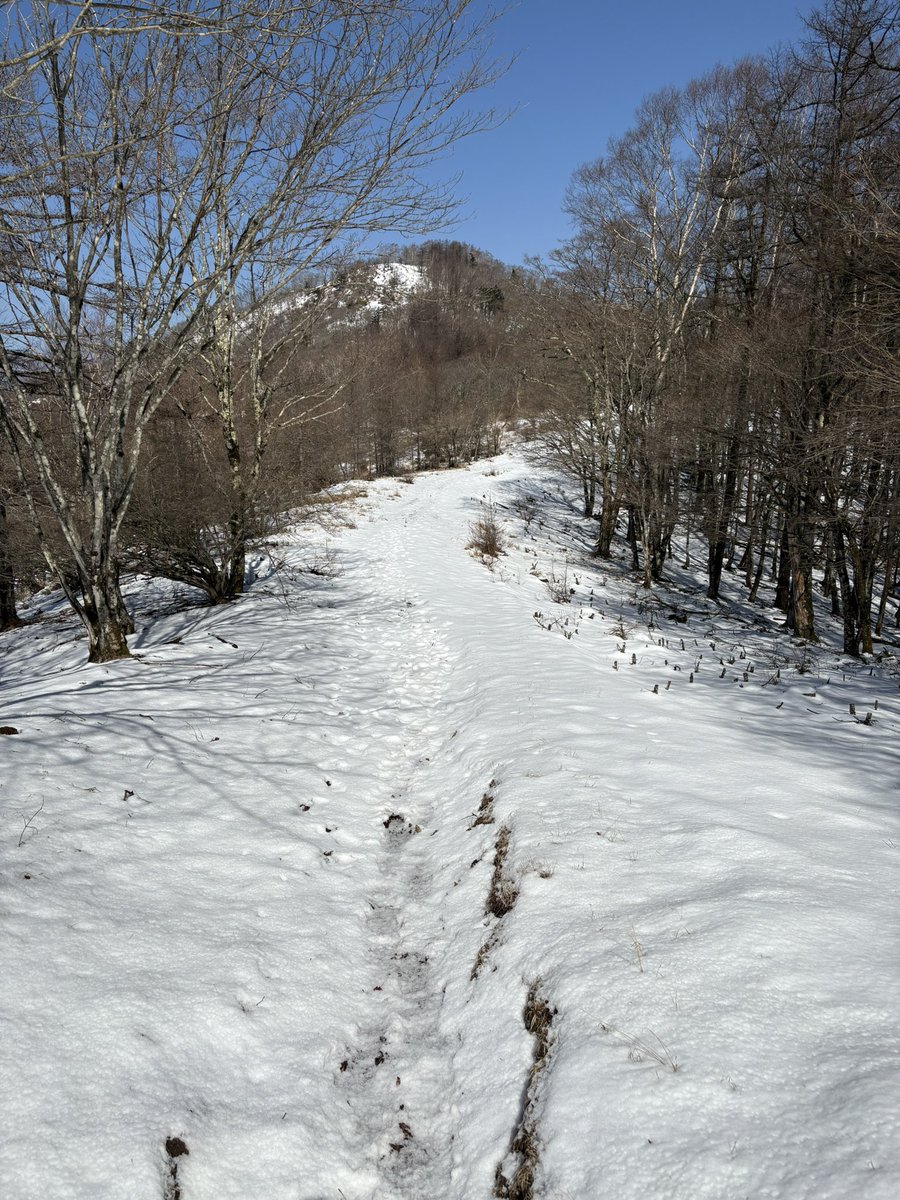 下山🫡

下山のタイミングで雨と雷鳴り出した。

雨はレインウェアあるから良いけど

稜線いる時に雷鳴ったら危ない。
