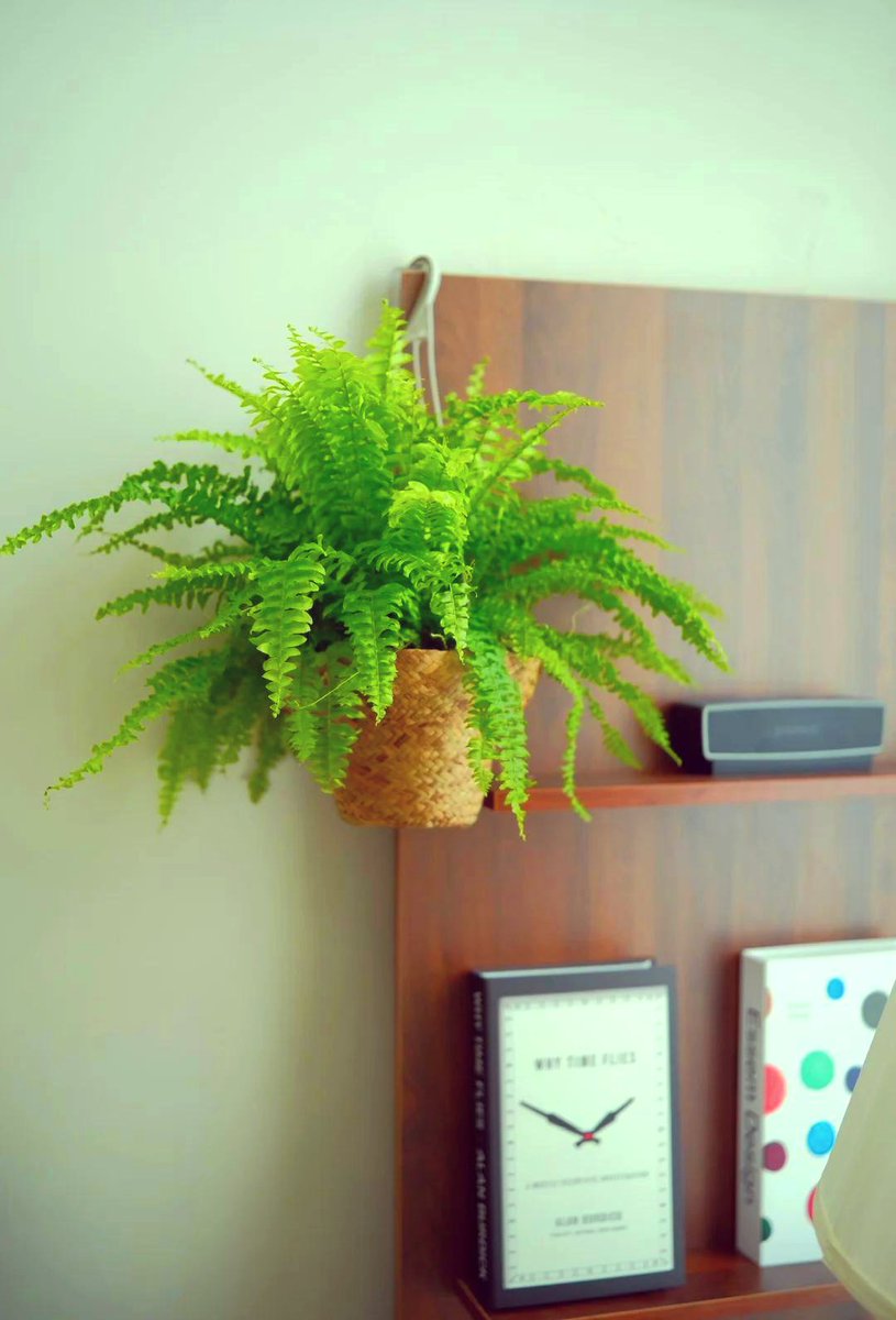 PixelArt ❤️ Memecoin tweet media