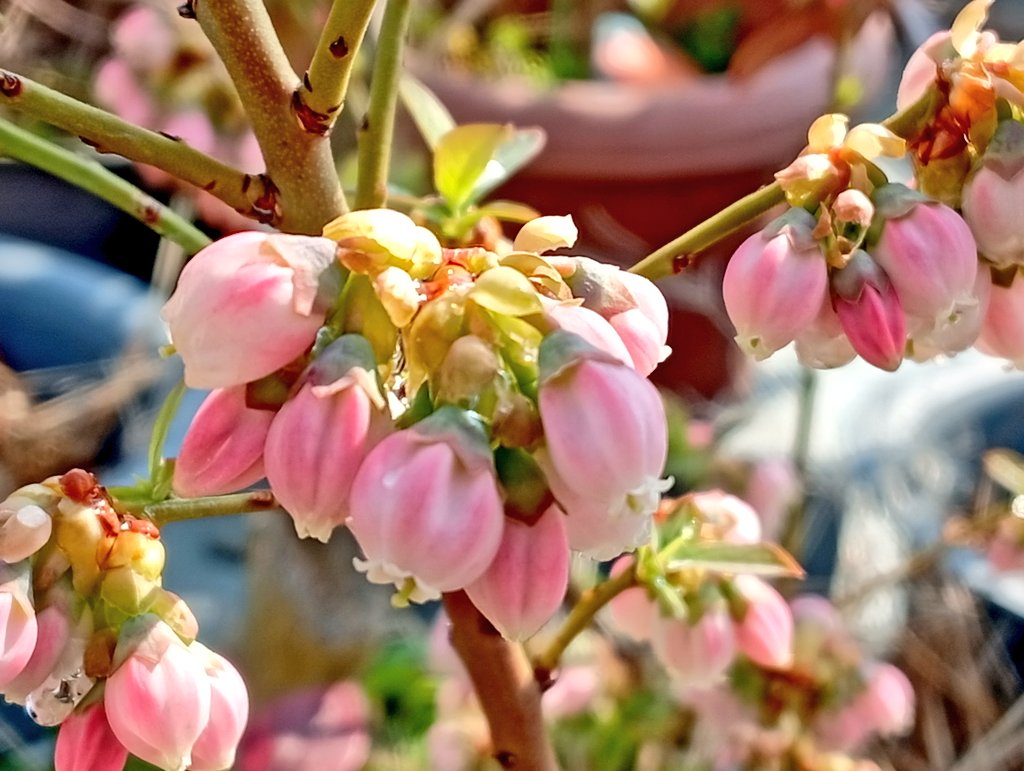 しお🦊🦊🦊🐱🐈🐾👣⸒⸒ tweet media