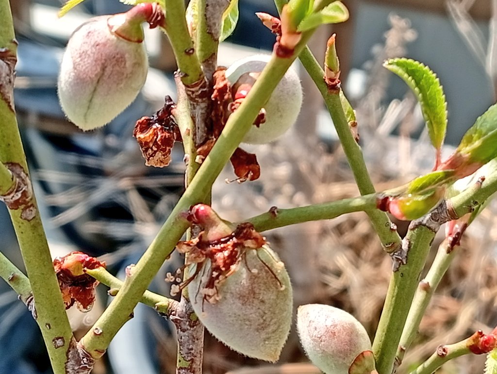 しお🦊🦊🦊🐱🐈🐾👣⸒⸒ tweet media