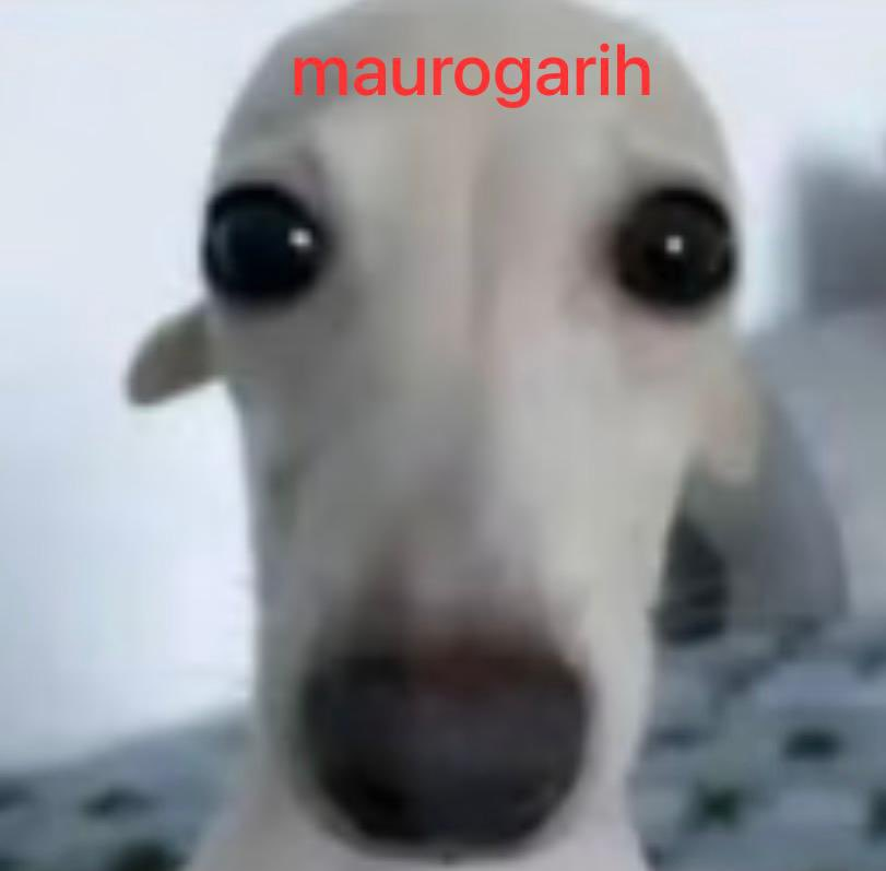 maurogarih's tweet photo. Codigo SACH 10% de descuento en el Patreon
Hasta que vuelva de Korea
El martes ademas anunciaré un sorteo que habrá entre patronos se viene banger https://t.co/rIkR9ZSIpt